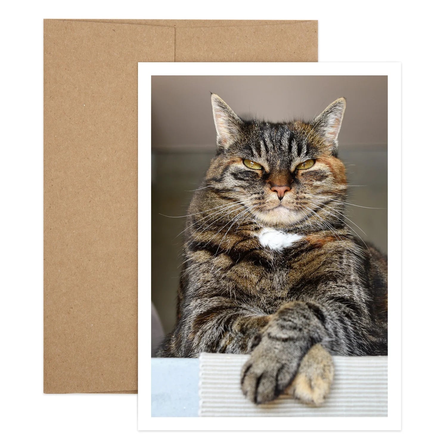 Aging Gracefully Cat Birthday Greeting Card