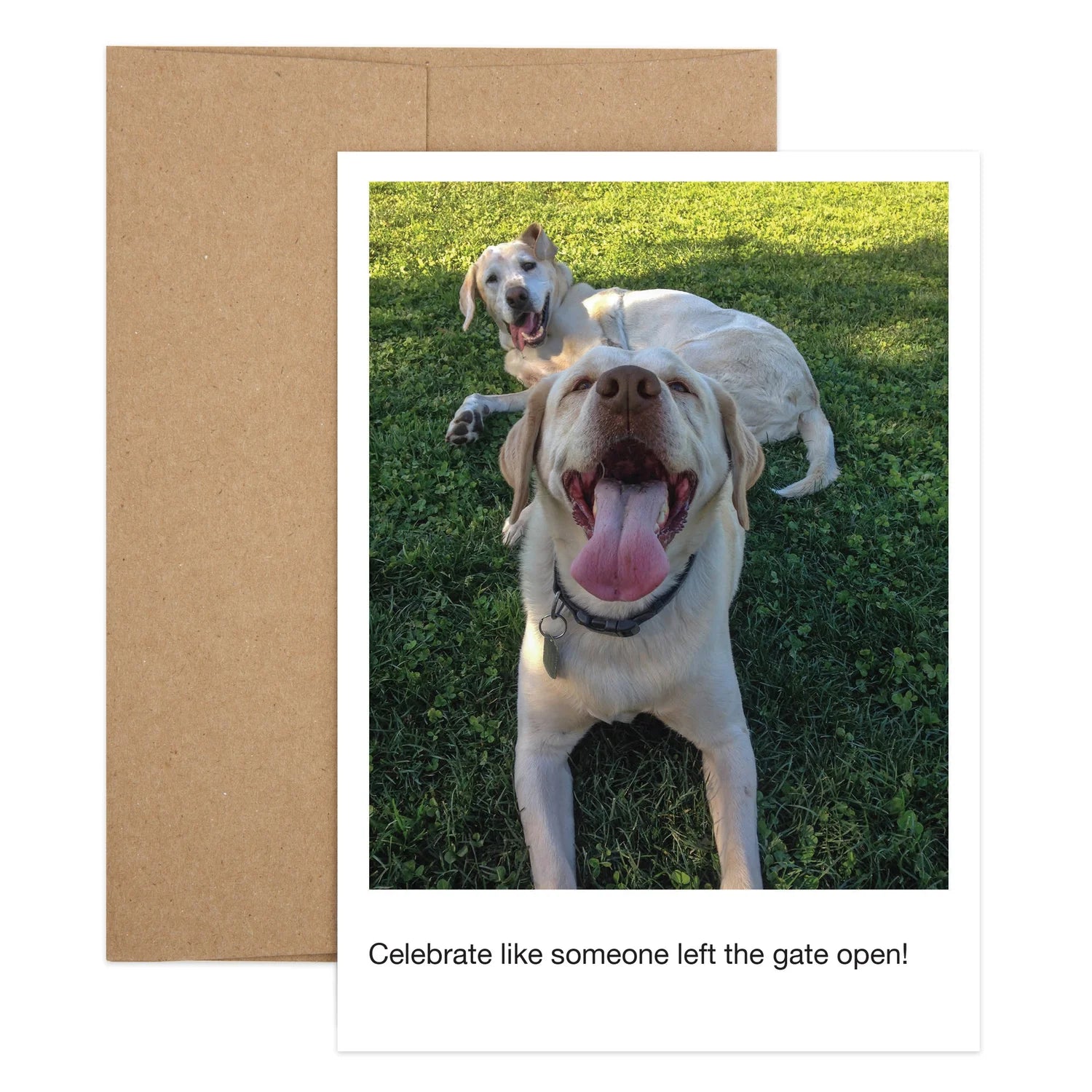 Gate Open Birthday Greeting Card