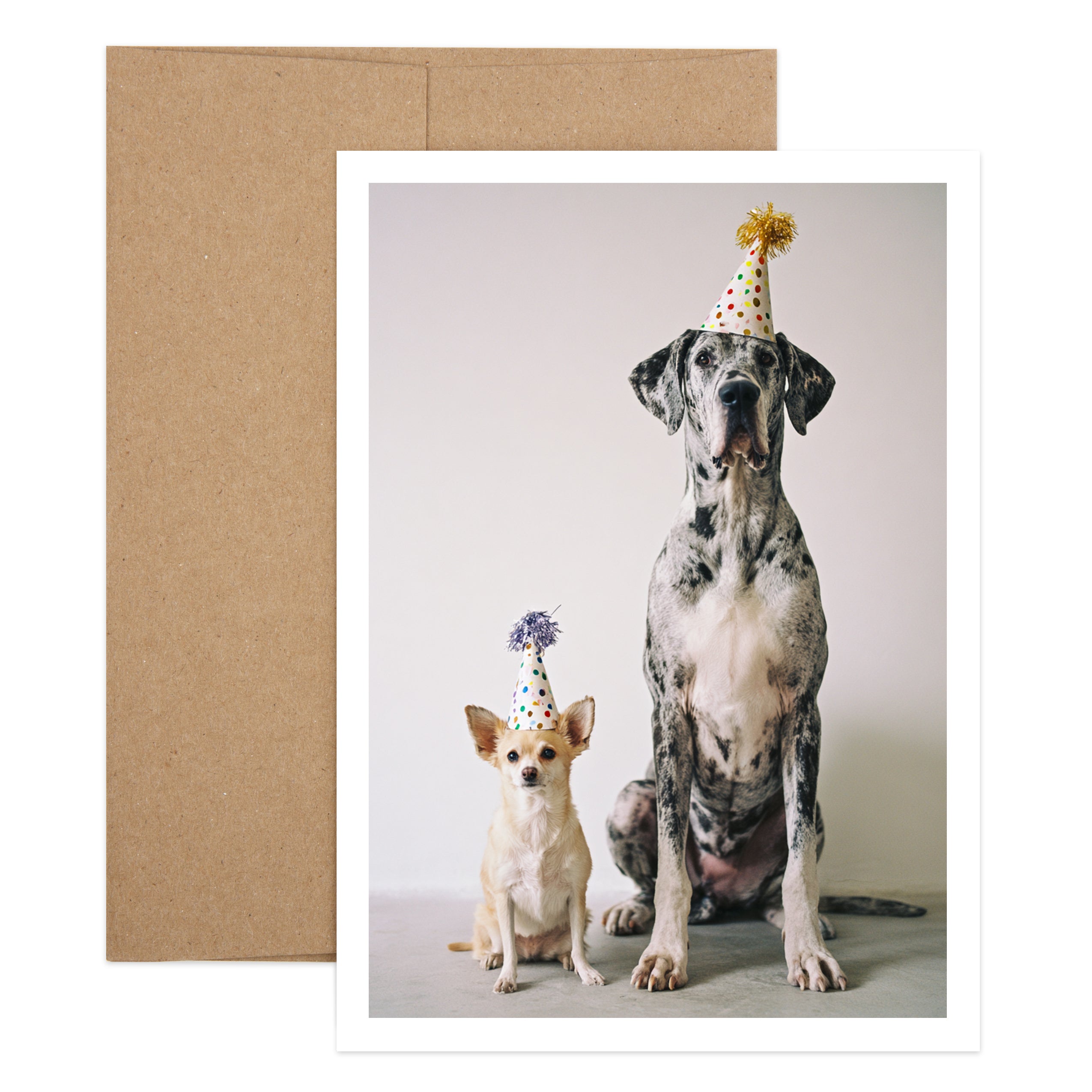 Living Large Birthday